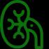 Nephrology