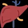 liver